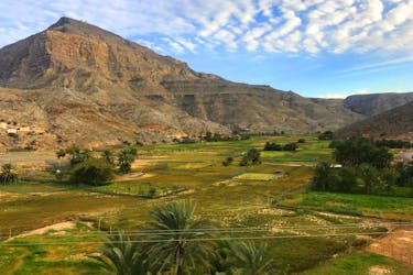 Half-day mountain safari to Jebel Harim